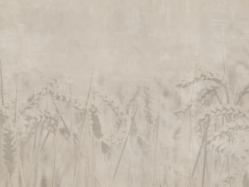 Wheat Dreamscape