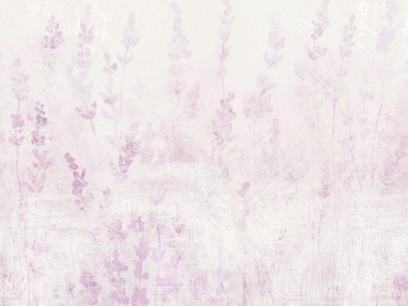Lavender Dreams